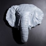Elephant di Chiara Chiappini